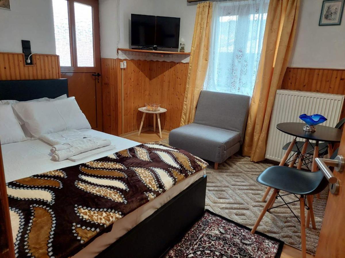 Appartement Διαμερισμα Χωρητικοτητασ Μεχρι 4 Ατομων Κεντρικα! à Metsovo Extérieur photo